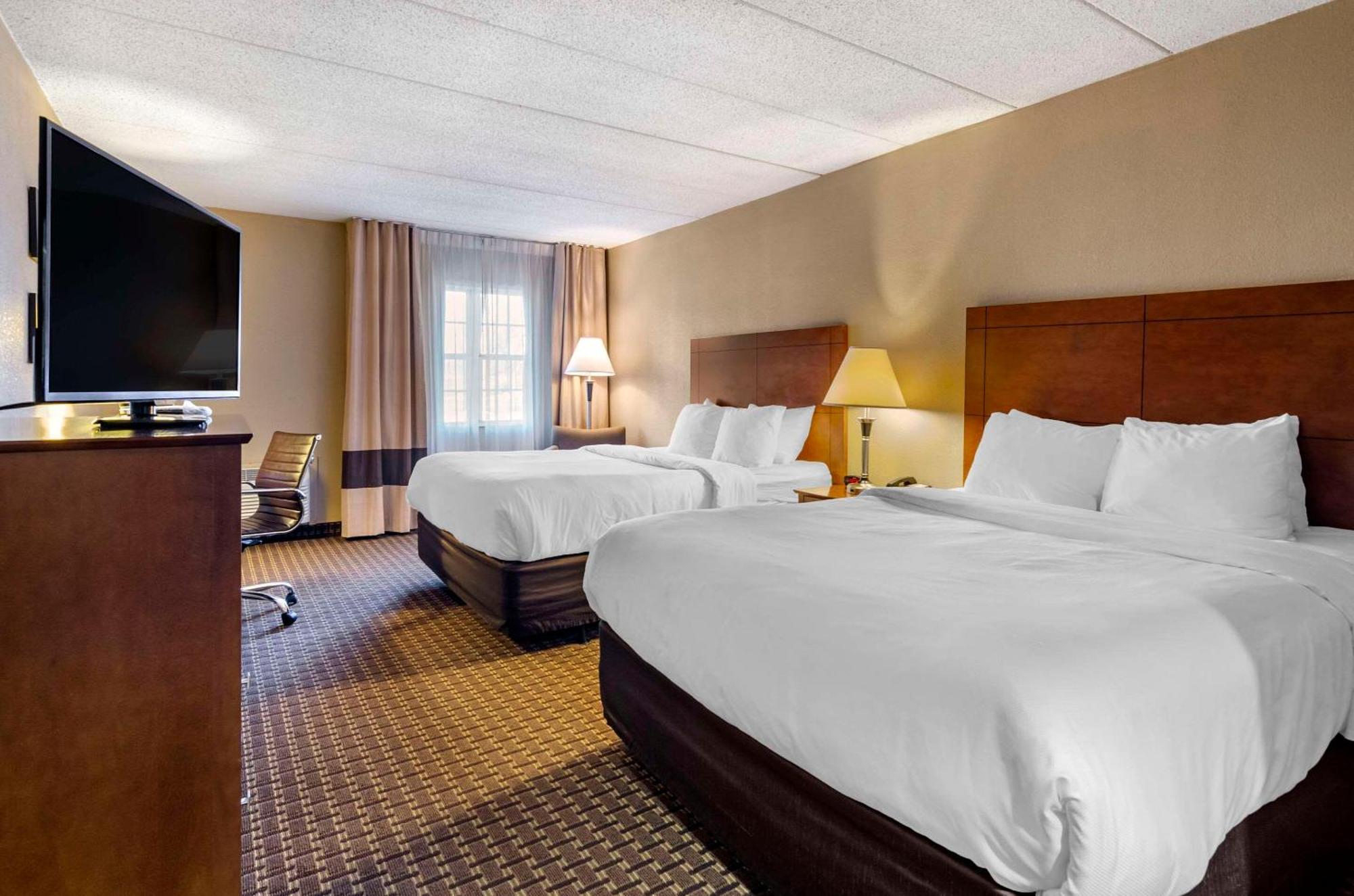 Comfort Inn & Suites Raphine - Lexington Near I-81 And I-64 Luaran gambar