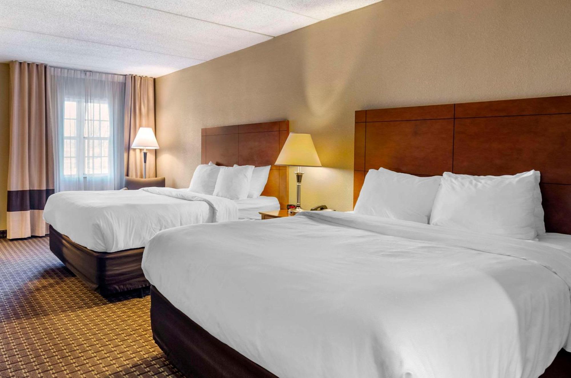 Comfort Inn & Suites Raphine - Lexington Near I-81 And I-64 Luaran gambar