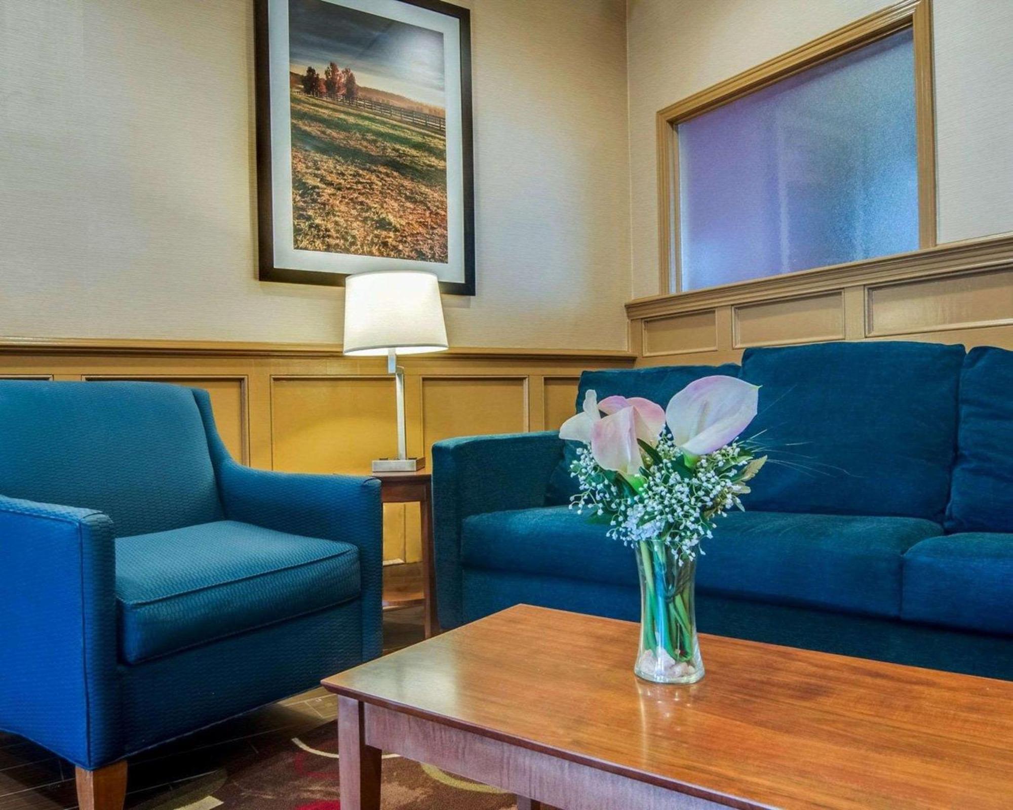 Comfort Inn & Suites Raphine - Lexington Near I-81 And I-64 Luaran gambar